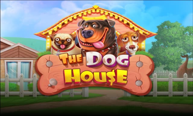 the dog house