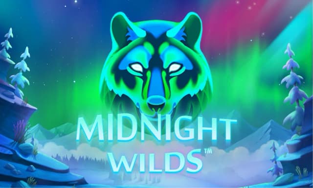 Midnight Wilds